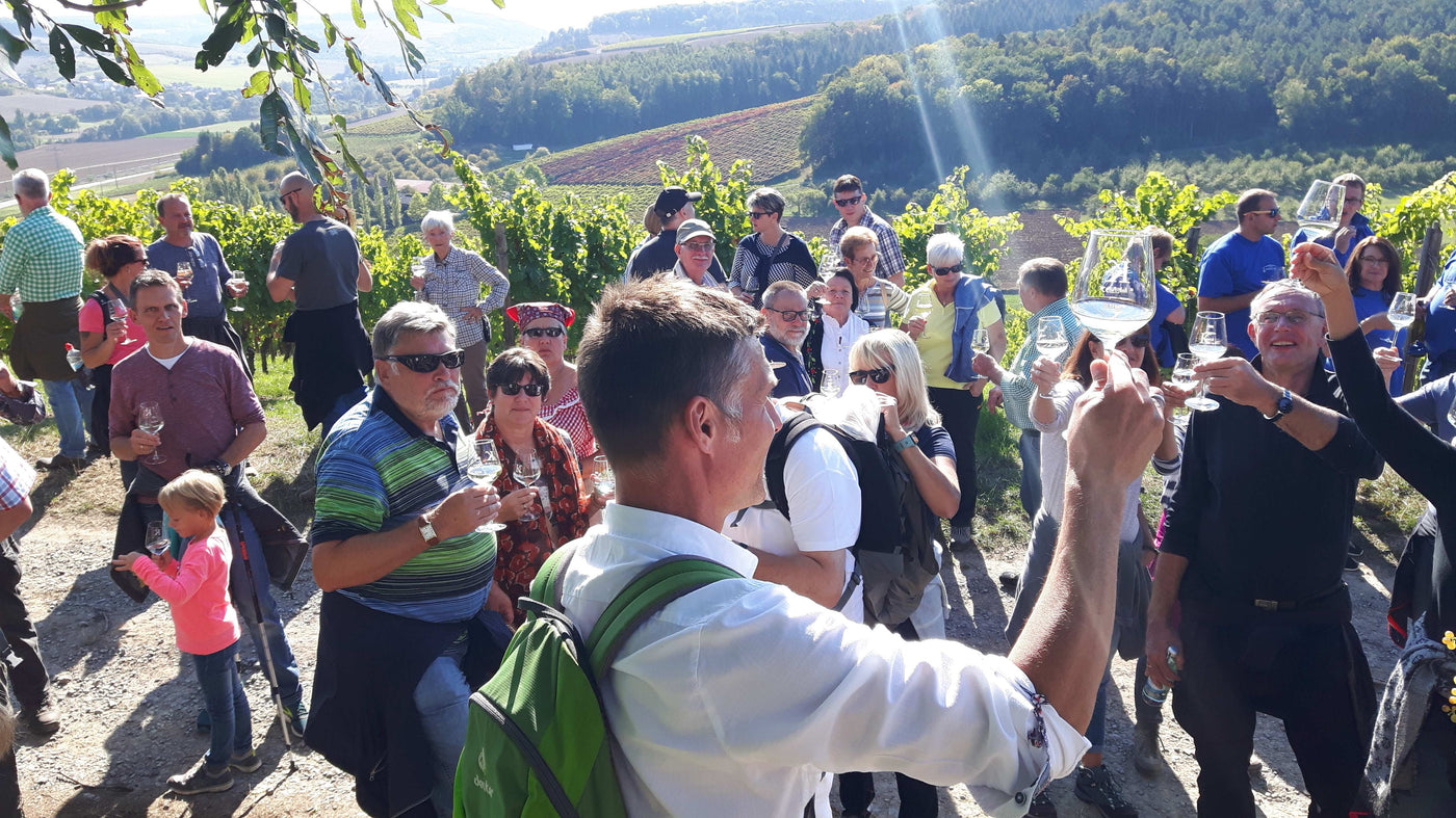 Genussvolle WeinWanderungen im Herbst