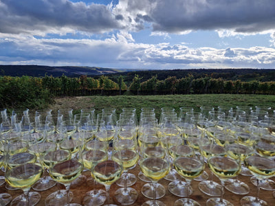 Herbstliche WeinWanderung Nr. 2 | Sonntag, 12. Oktober 2025
