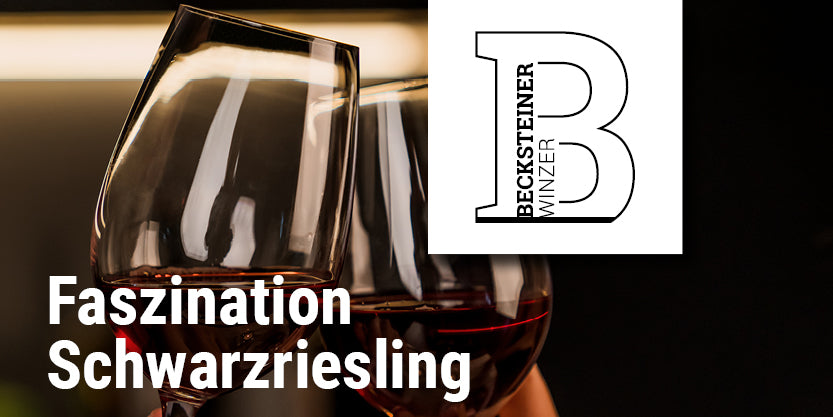 Faszination Schwarzriesling