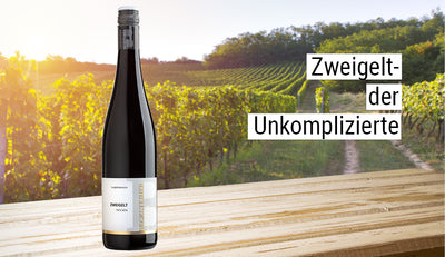 Zweigelt - der Unkomplizierte