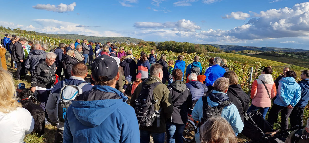 Große WeinWanderung | Sonntag, 18. Oktober 2026
