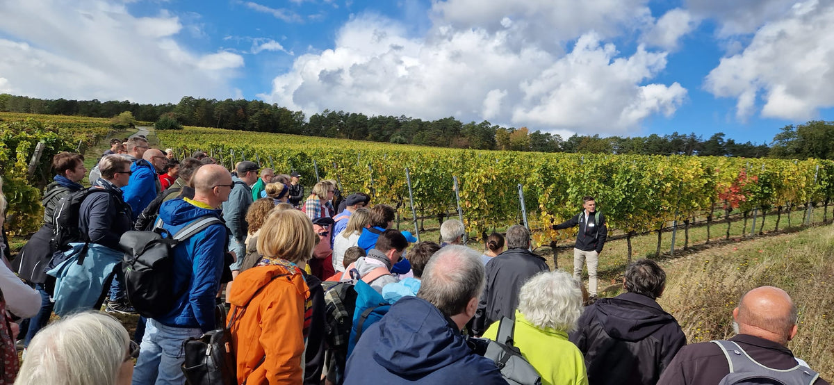Ausgiebige WeinWanderung | Samstag, 03. Oktober 2026