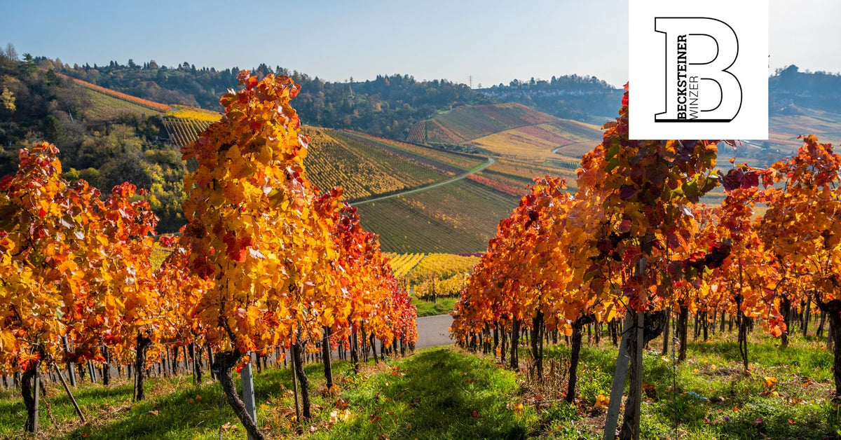 WeinWanderung Herbst | Sonntag, 03. Oktober 2027