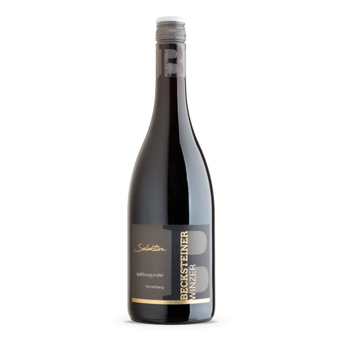 2020 SELEKTION Spätburgunder MAGNUM
